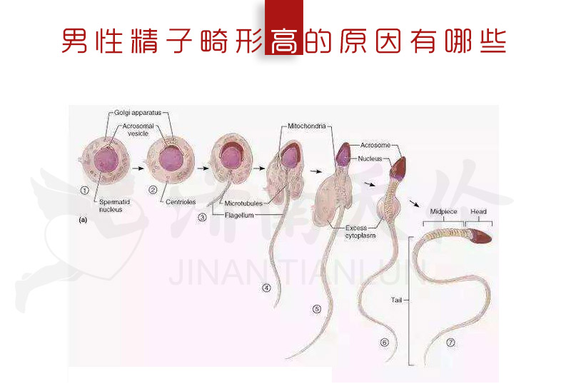 试管胚胎着床有什么症状或感觉