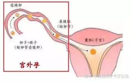 男人可以三代试管私人机构生孩子吗