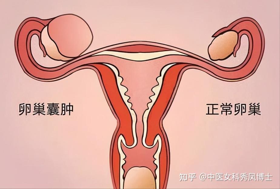 谈谈我去北京市试管找人代怀婴儿的经历(上)